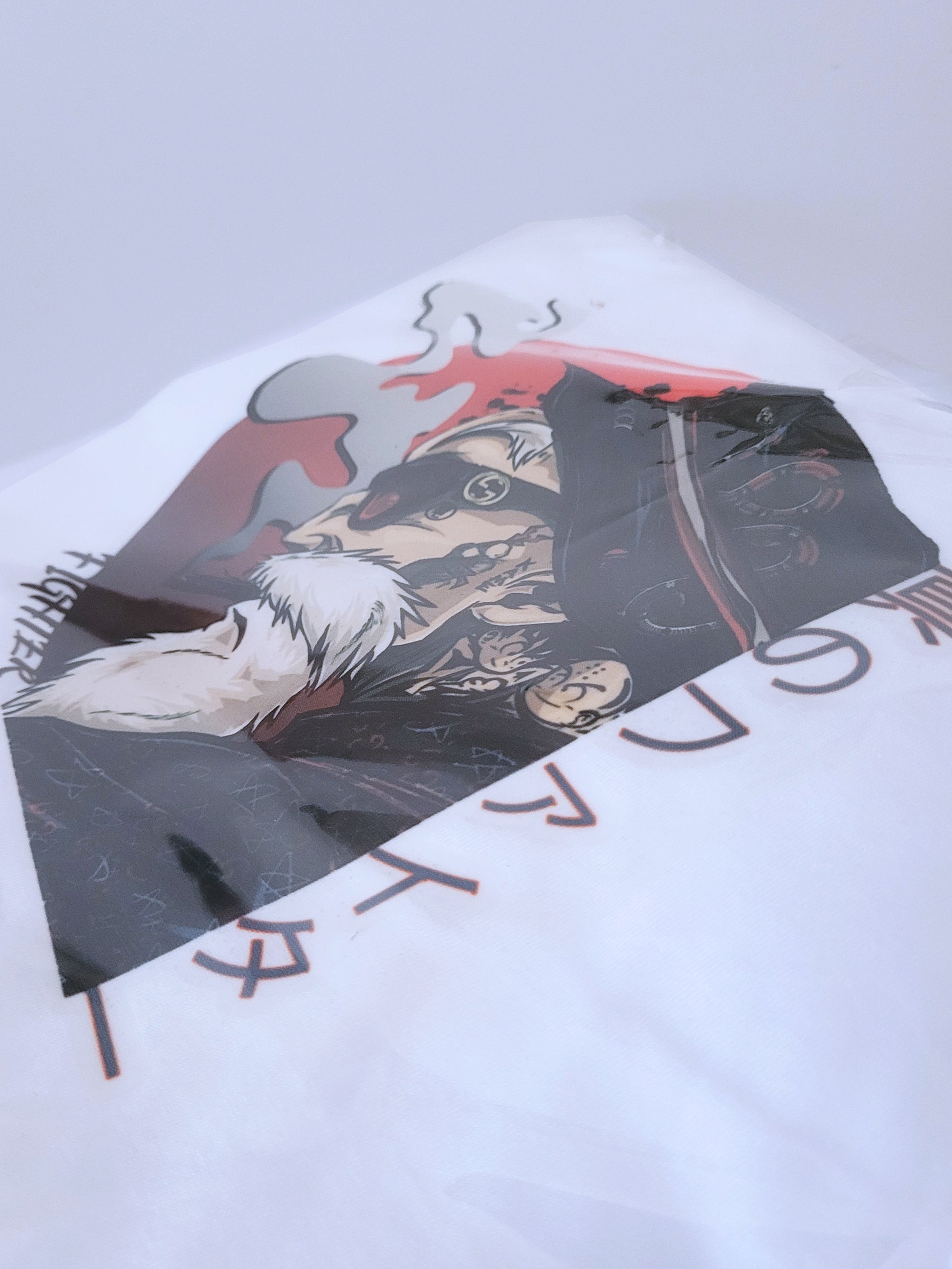 T-shirt True Fighter maestro Muten / Roshi 🐉